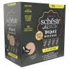 Schesir After Dark Velvet Mousse Variatie-Pack 12 x 80 gr