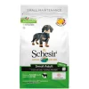 Schesir Hond Dry Maintenance Small Lam 2 kg