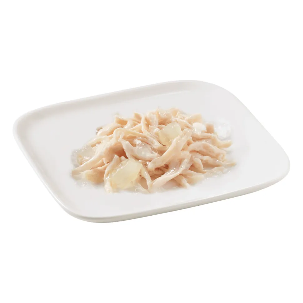 Schesir Hondenvoer Blik Jelly Kip en Aloë 150 gr