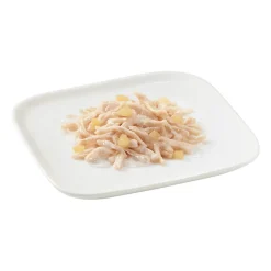 Schesir Hondenvoer Kip - Appel 150 gr