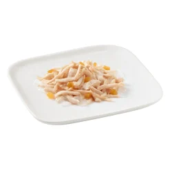 Schesir Hondenvoer Kip - Papaya 150 gr