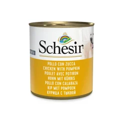 Schesir Hondenvoer Kip Pompoen in Gelei 285 gr