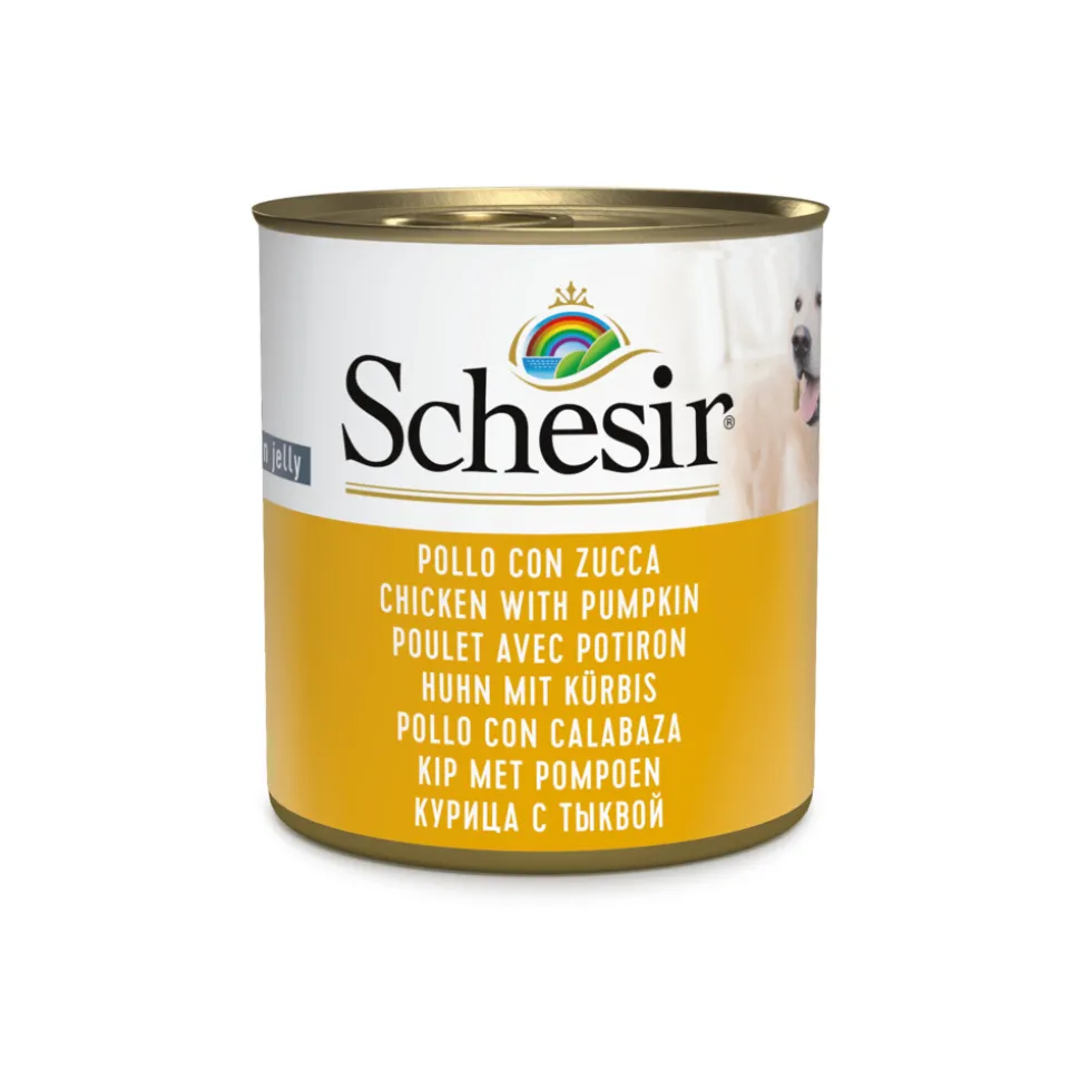 Schesir Hondenvoer Kip Pompoen in Gelei 285 gr