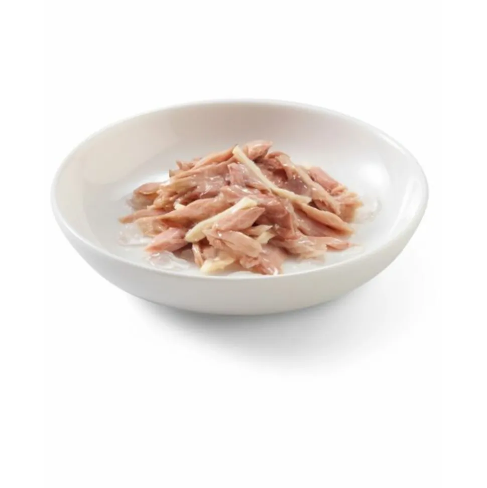 Schesir Kattenvoer Tonijn en Kip in Gelei 85 gr