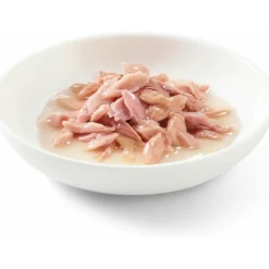 Schesir Kattenvoer Tonijn in Boullion 70 gr