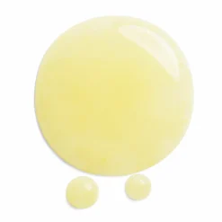 Shiseido Benefiance Wrinkle Smoothing Serum 30 ml