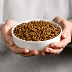 Smolke Kattenvoer Kitten 4 kg