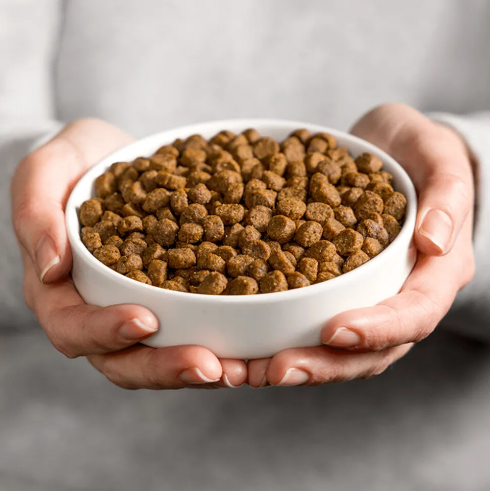 Smolke Sensible Kattenvoer 2 kg