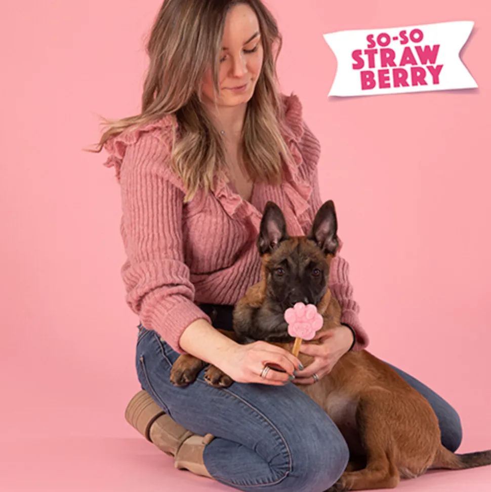 Smoofl Honden IJsmix Aardbei 160 gr