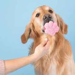 Smoofl Starterkit Extra Small