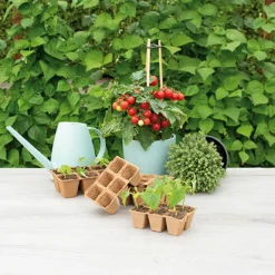 SOGO Biologische Kweekpotjes 4x4 cm 6 stuks