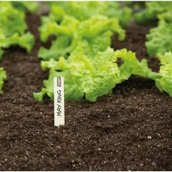 SOGO Houten Steeketiket 15 cm 24 stuks