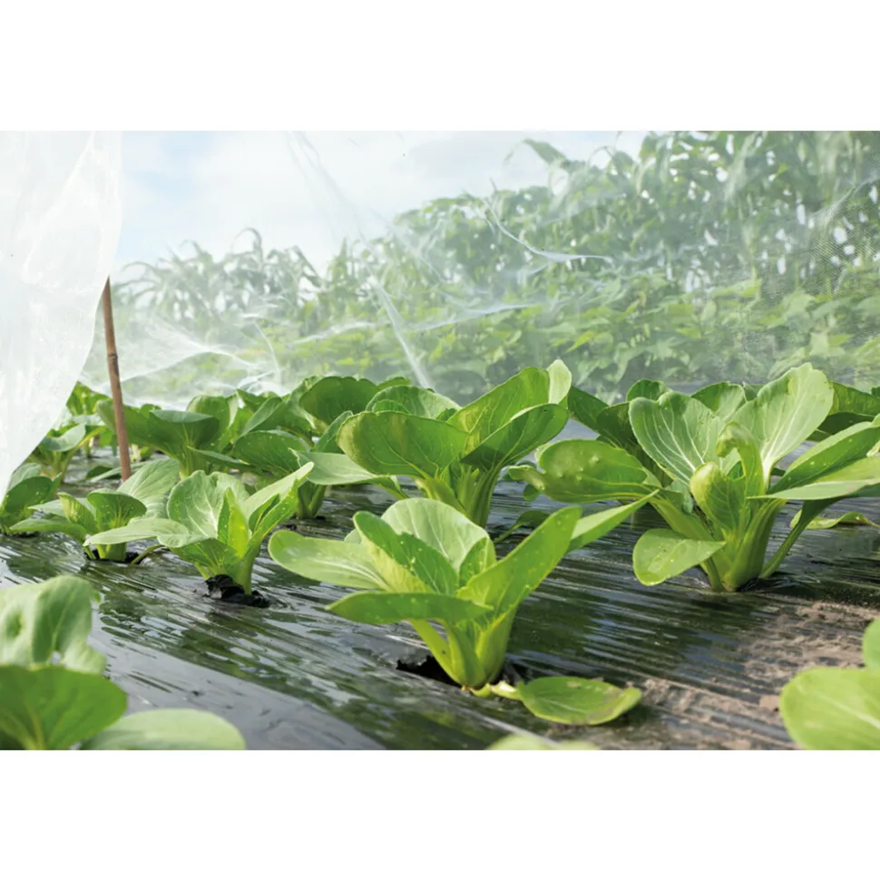 SOGO Insectengaas 2,1 x 4.5 m