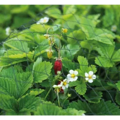 SOGO Tuinnet 4 x 5 m