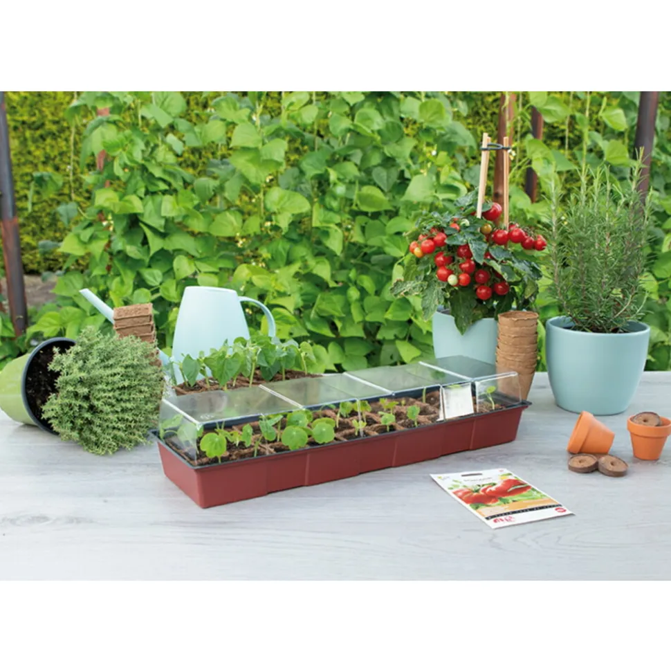 SOGO Vensterbank Kweekkas met 30 Turfpotjes