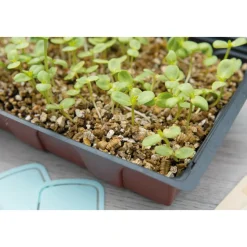 SOGO Vermiculiet Potgrond in Doos 3,5 liter