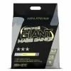 Stacker Giant Mass Gainer Vanille 2270 gr