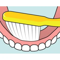 TePe Protheseborstel Classic