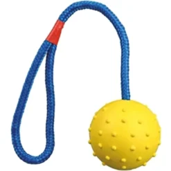 Trixie Bal aan Koord Natuurrubber