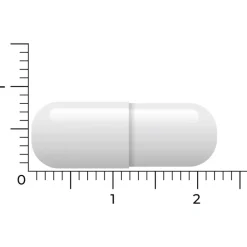 Vitakruid Acetyl L-Carnitine 90 vegacapsules