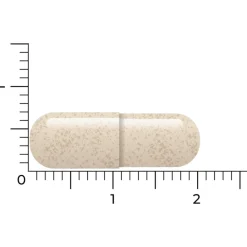 Vitakruid Ashwagandha Ksm 90 capsules