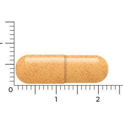 Vitakruid B-Complex Actief Zonder B6 90 vegacapsules