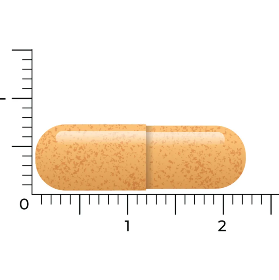 Vitakruid B-Complex Actief Zonder B6 90 vegacapsules