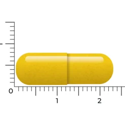 Vitakruid Berberine 500 Rebersa 60 vegacapsules