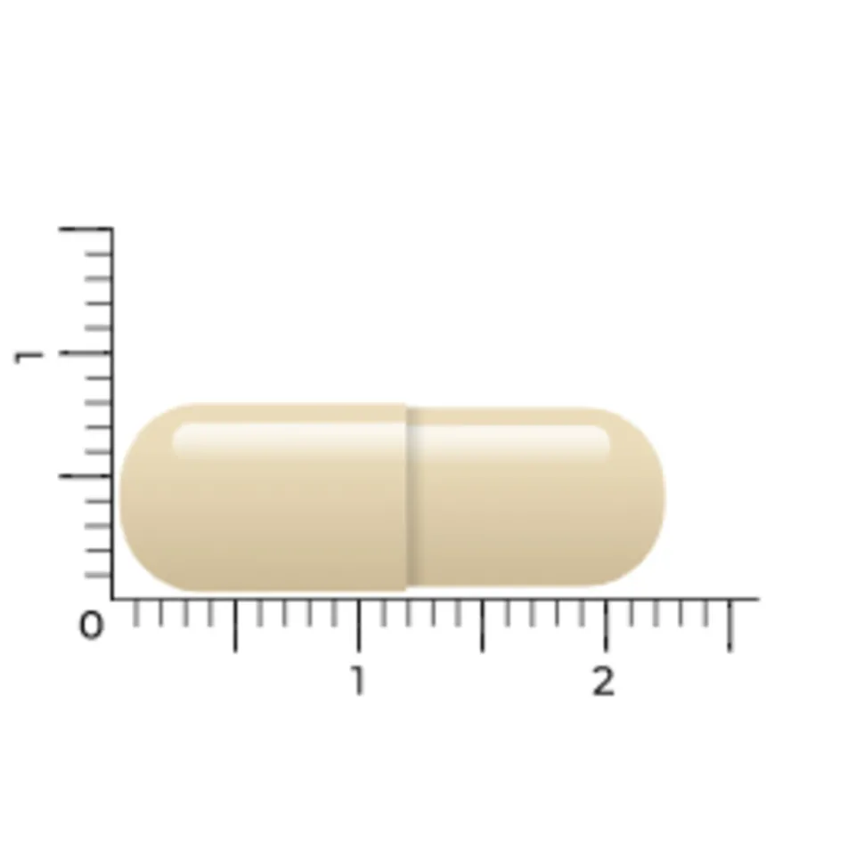 Vitakruid Gebufferde Vitamine C 150 vegacapsules