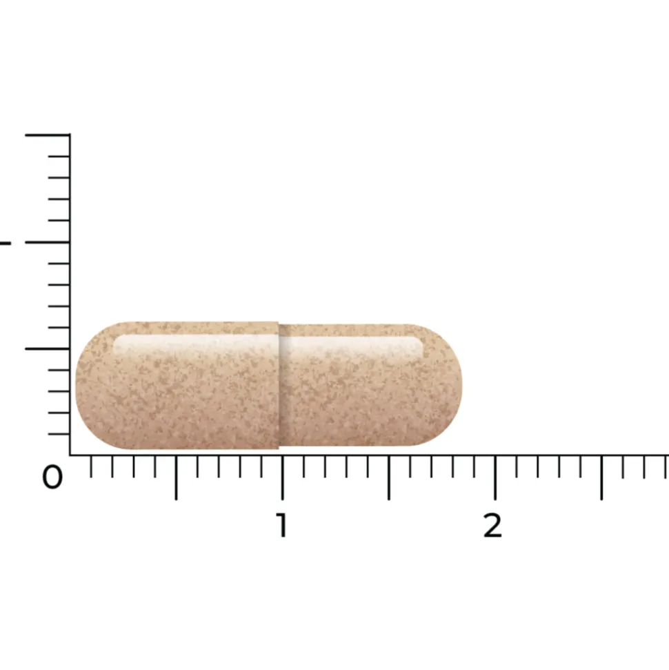 Vitakruid Lactoferrine 150 mg 60 vegacapsules
