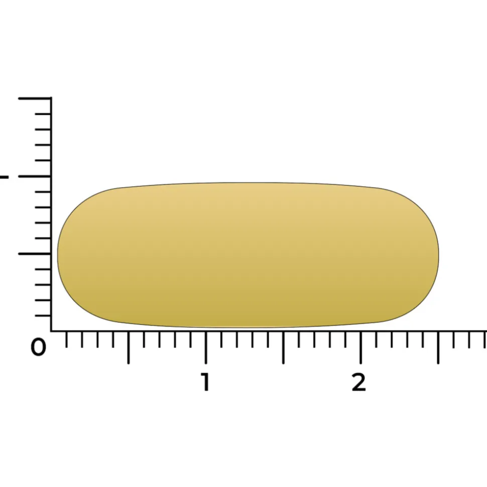 Vitakruid Omega-3 1000 TG Vegan 90 capsules