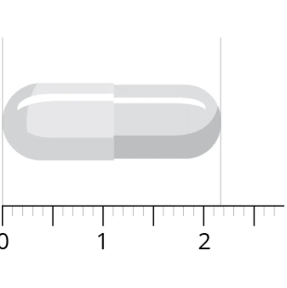 Vitals Elke Dag 60 capsules