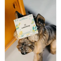 Waterdrop Microdrink Hydratatieblokjes Focus 12 stuks