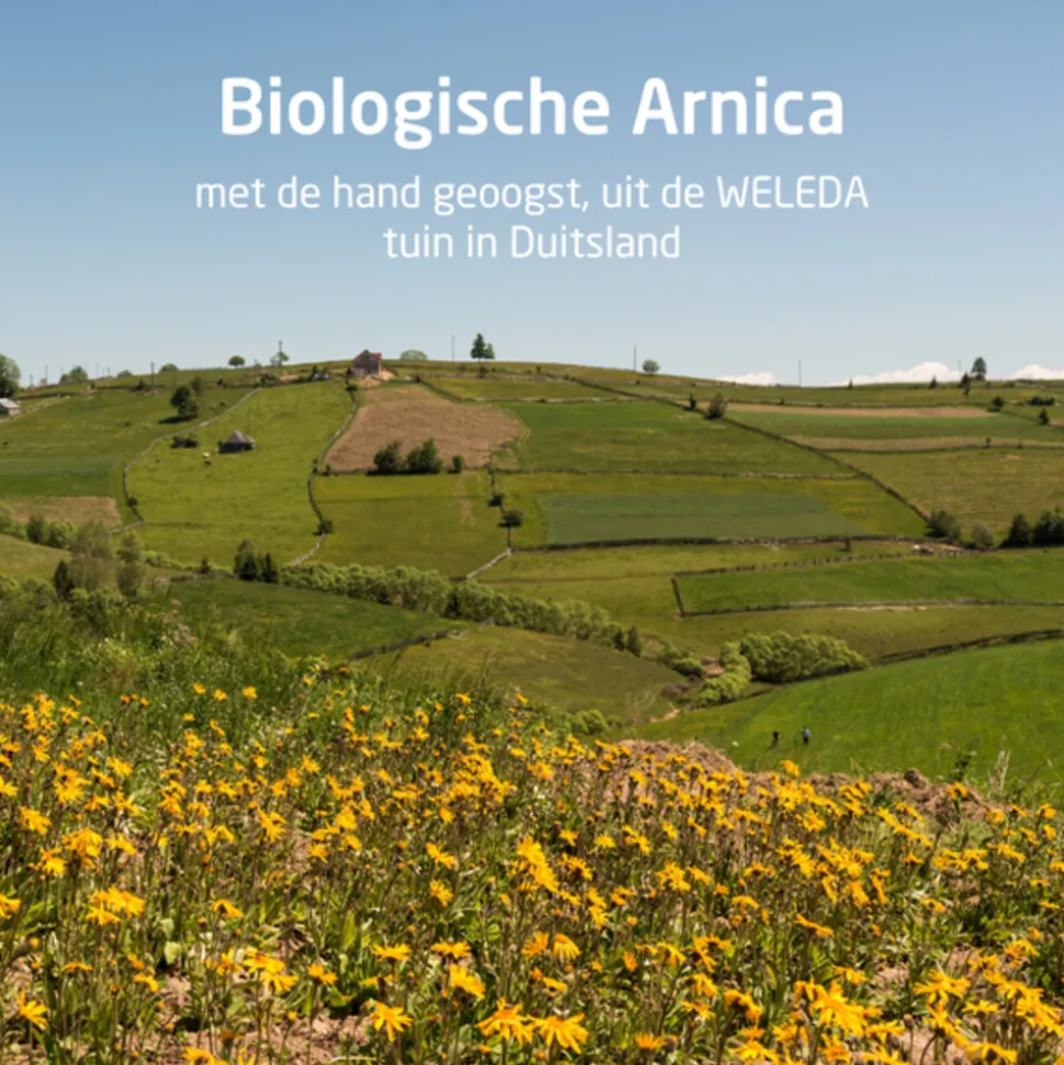 WELEDA Arnica Sport Massageolie 100 ml