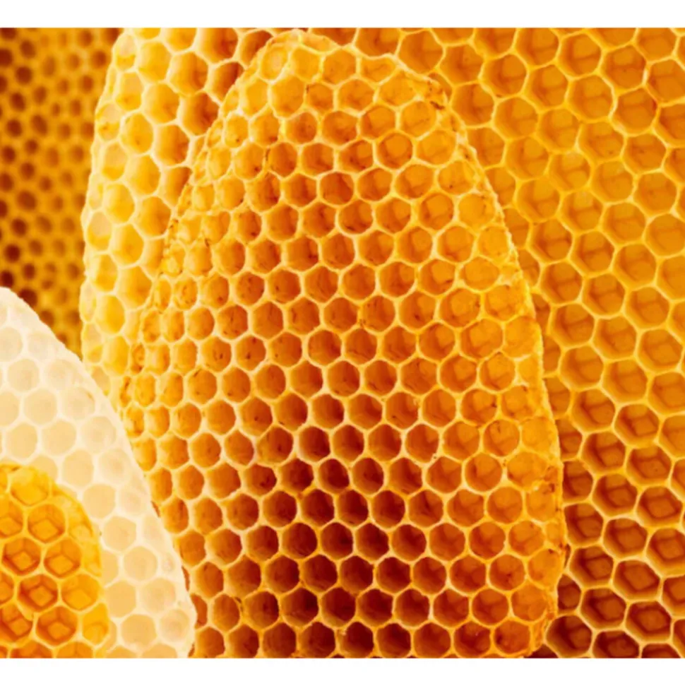 WELEDA Everon Lippenbalsem 4,8 gr