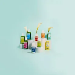 WELEDA 24H Deodorant Stick Eucalyptus & Peppermint 50 gr