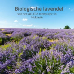 WELEDA Lavendel Ontspanningsbad 200 ml