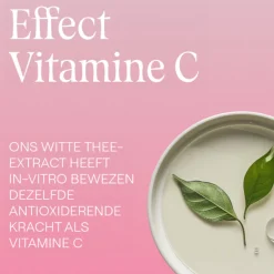 WELEDA Wilde Rozen & Witte Thee Vitaliserende Oogcontourcrème 12 ml