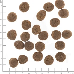 Wolfsblut VetLine Gastrointestinal 12 kg