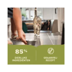 24x Acana Premium Kattenvoer Pâté Beef 85 gr