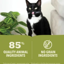 24x Acana Premium Kattenvoer Pâté Salmon & Chicken 85 gr