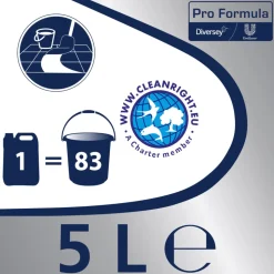 2x Andy Professional Allesreiniger Appel Pro Formula 5 liter