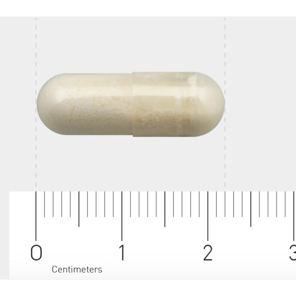 2x AOV 1132 Lactase 60 vegacapsules