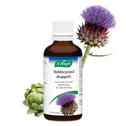 2x A.Vogel Boldocynara Druppels 50 ml