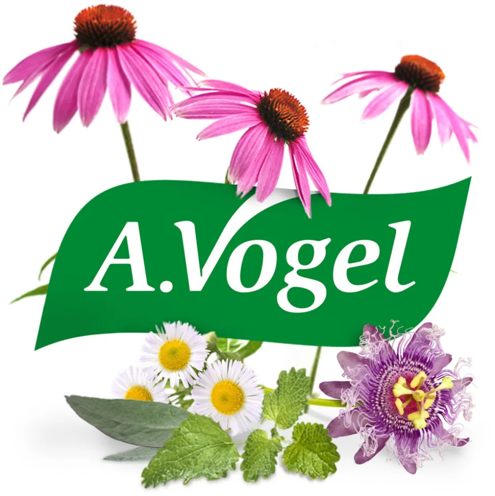 3x A.Vogel Herbamare Bouillonbasis 250 gr