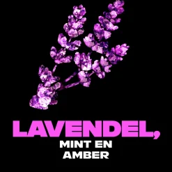 6x Axe Deodorant Bodyspray Blue Lavender 150 ml