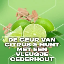 6x Axe 3-in-1 Douchegel Green Mojito & Cedarwood 250 ml