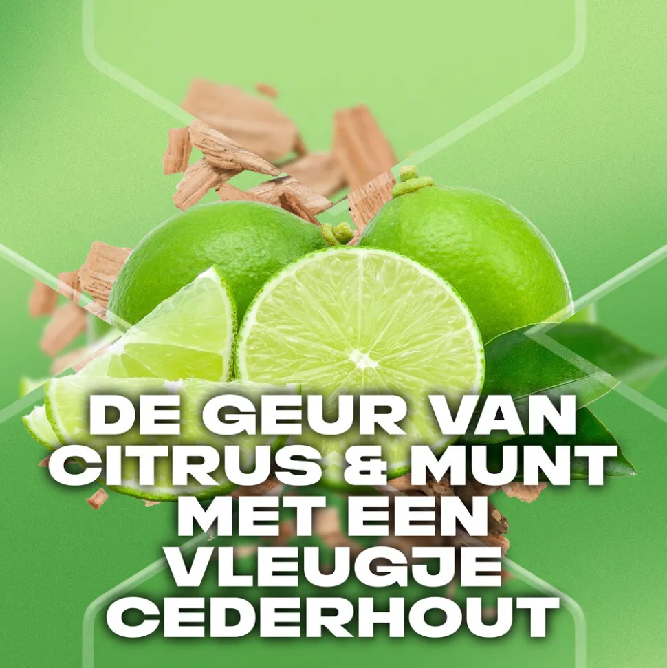 6x Axe 3-in-1 Douchegel Green Mojito & Cedarwood 250 ml