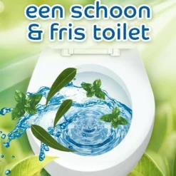10x Bref Toiletblok Power Activ Pro Nature Munt Eucalyptus 2 stuks