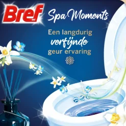 10x Bref Toiletblok Wellness Scents Vitality 2 stuks